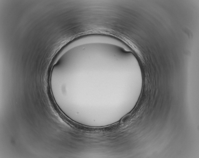 X0000110690485200907101152