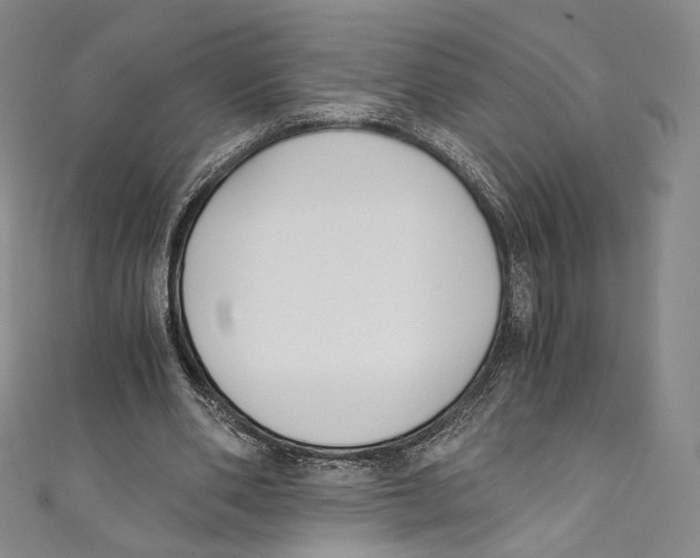 X0000110690486200907101152