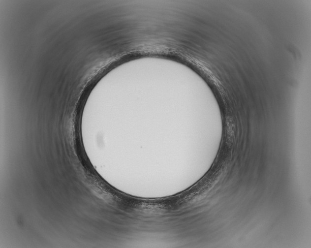 X0000110690487200907101152