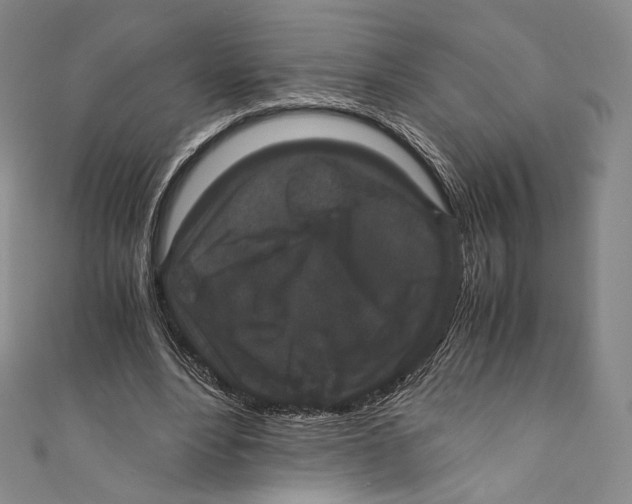 X0000110690488200907101152