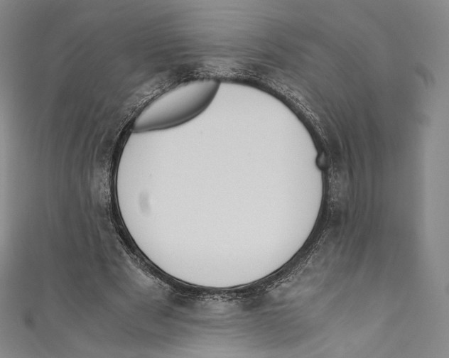 X0000110690489200907101152