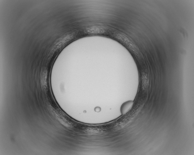 X0000110690490200907101152