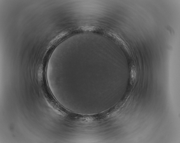 X0000110690492200907101152