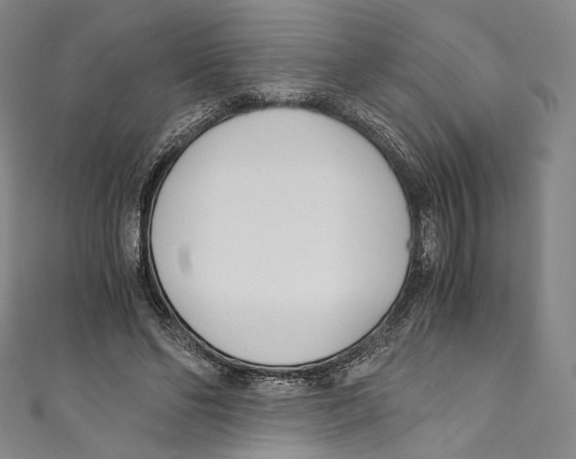 X0000110690494200907101151