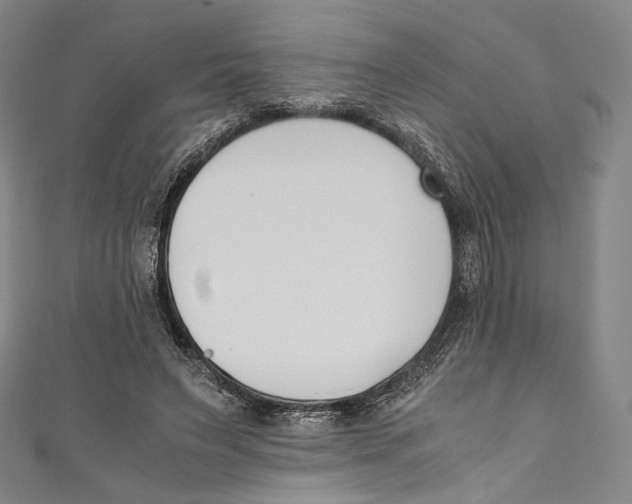 X0000110690495200907101151