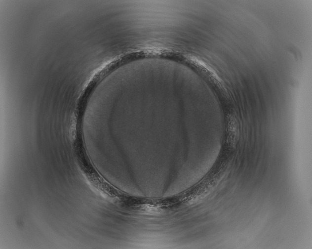 X0000110690496200907101151