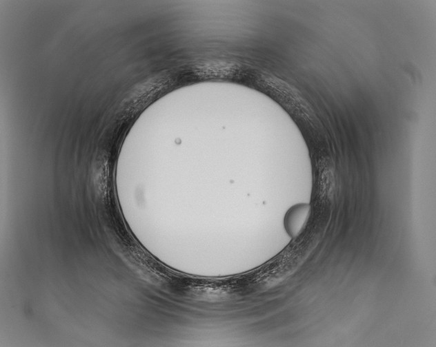 X0000110690498200907101151