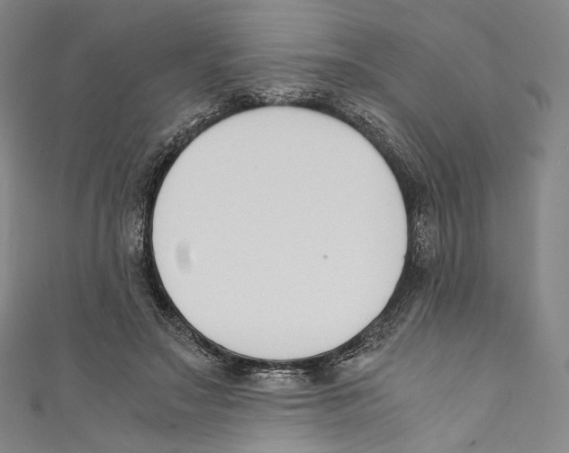 X0000110690499200907101151