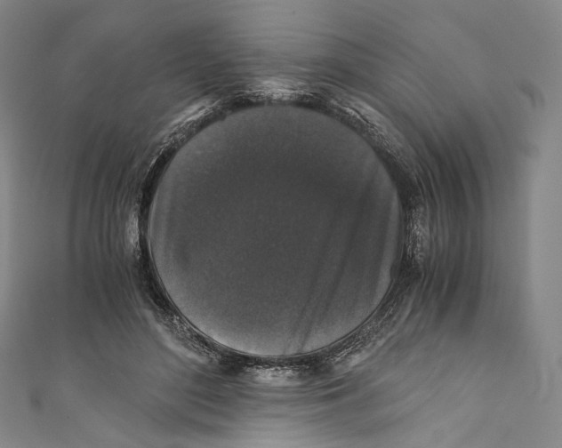 X0000110690500200907101151