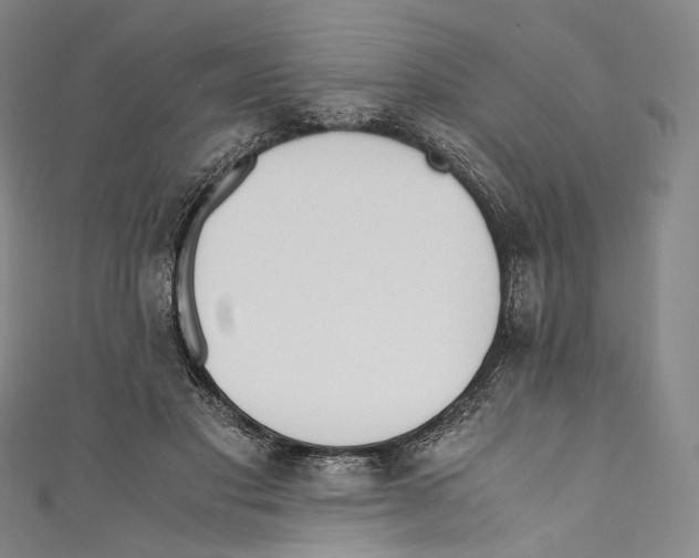 X0000110690501200907101151