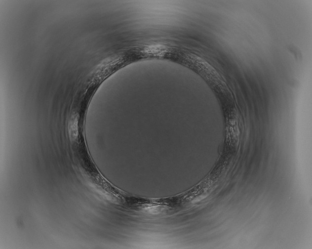 X0000110690504200907101151