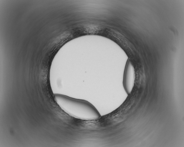 X0000110690505200907101151