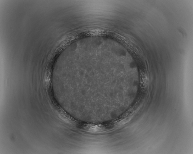 X0000110690507200907101151