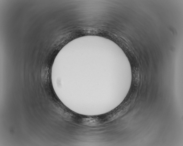 X0000110690511200907101151