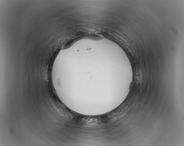 X0000110690512200907101151