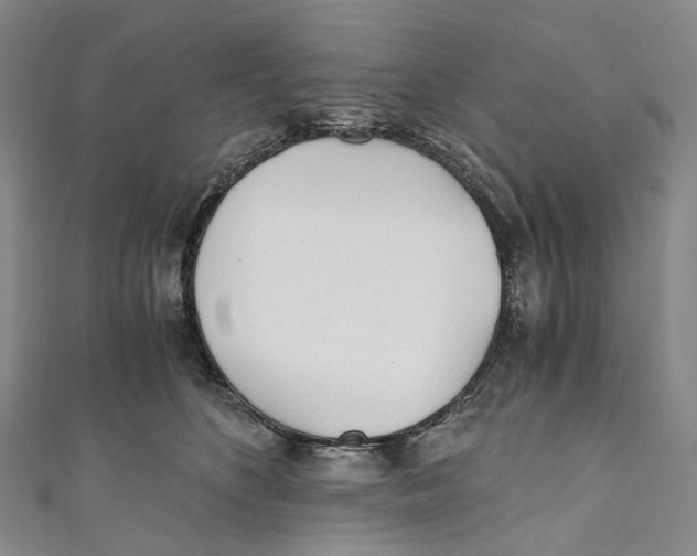 X0000110690516200907101151