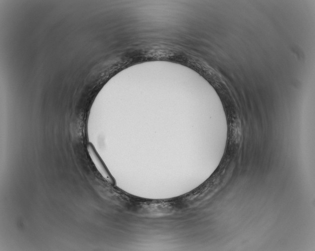 X0000110690517200907101151