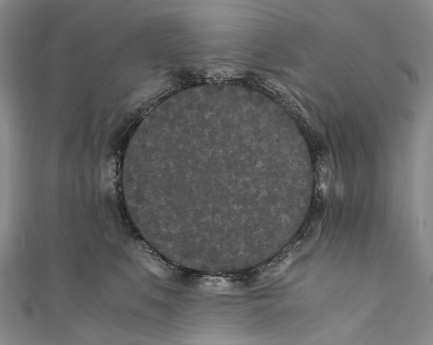 X0000110690519200907101151