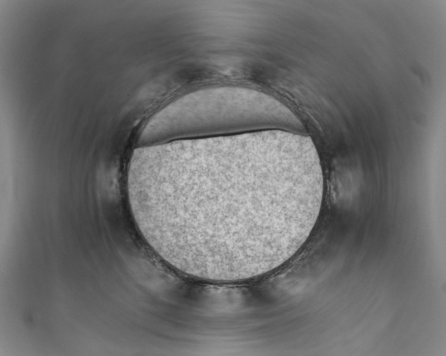 X0000110690520200907101151