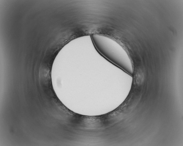 X0000110690521200907101151