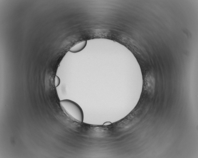 X0000110690522200907101151