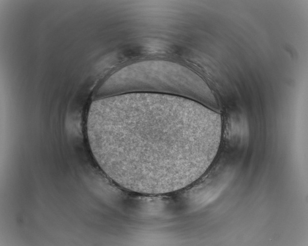 X0000110690524200907101151