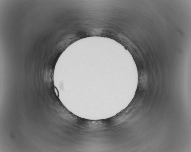 X0000110690525200907101151