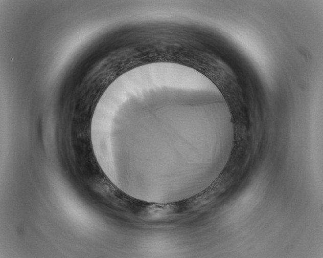 X0000110690526200907101151