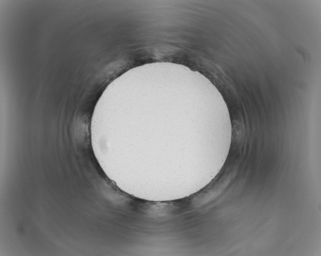 X0000110690527200907101151