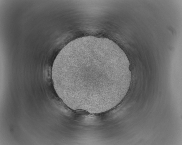 X0000110690528200907101151