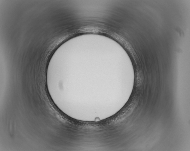 X0000110690529200907101150