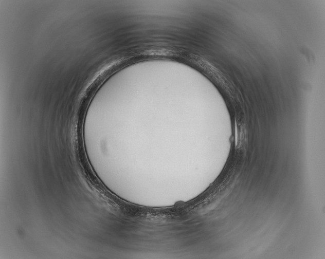 X0000110690531200907101150