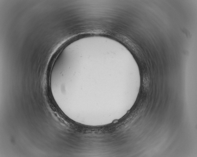 X0000110690532200907101150