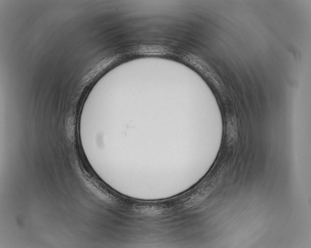 X0000110690533200907101151