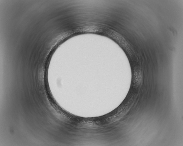 X0000110690534200907101151