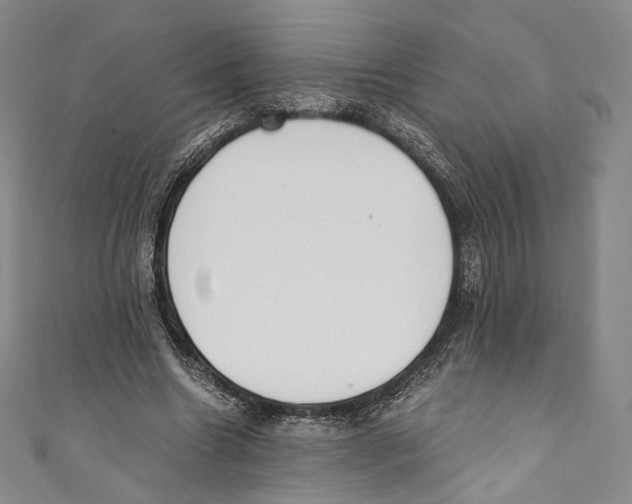 X0000110690538200907101151