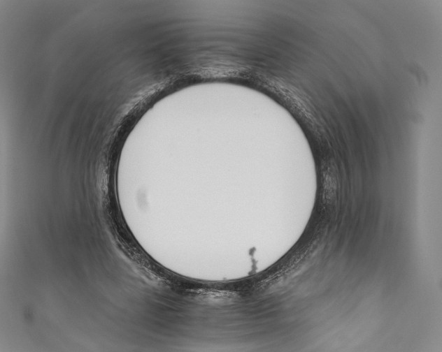 X0000110690539200907101151