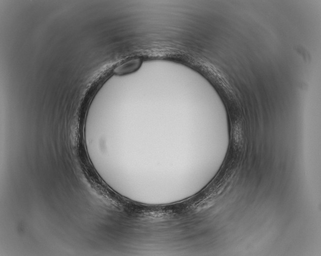 X0000110690540200907101151