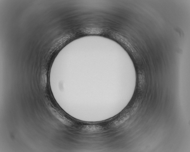 X0000110690541200907101151