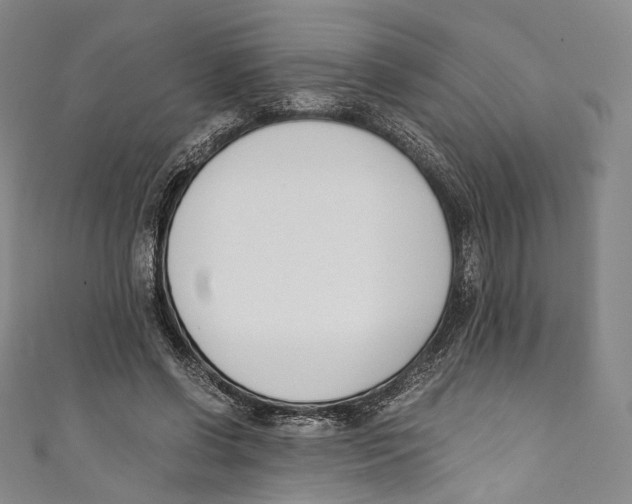 X0000110690542200907101151