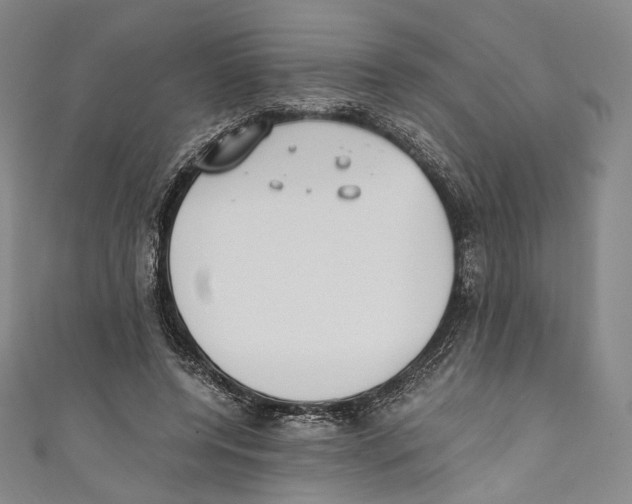 X0000110690544200907101151