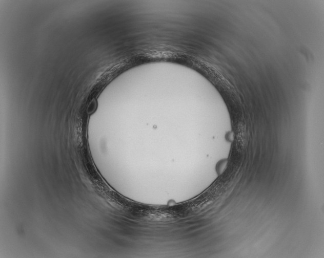 X0000110690547200907101151