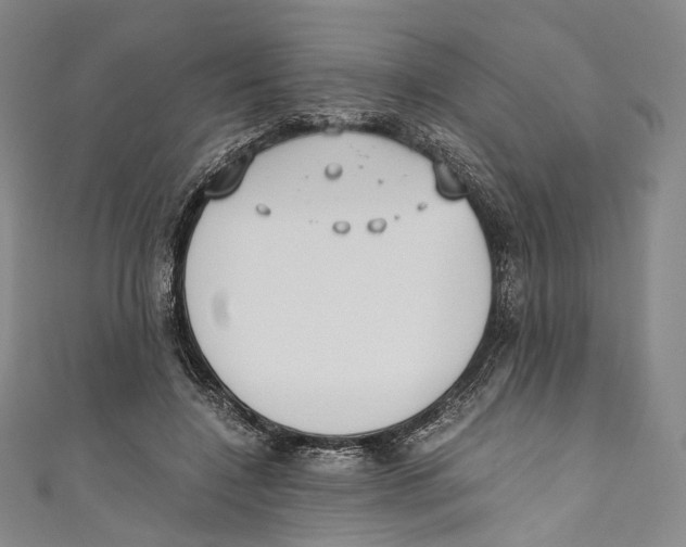 X0000110690548200907101151