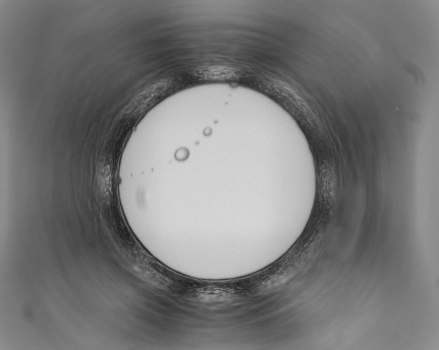 X0000110690549200907101151