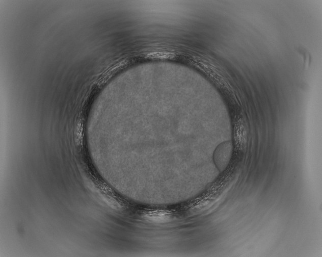 X0000110690551200907101151