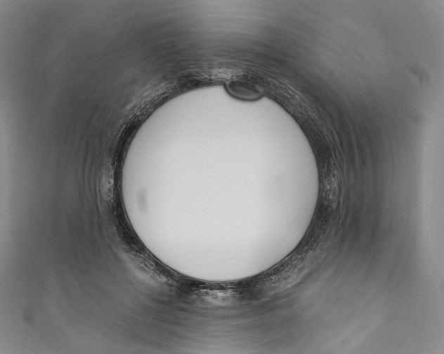 X0000110690552200907101151