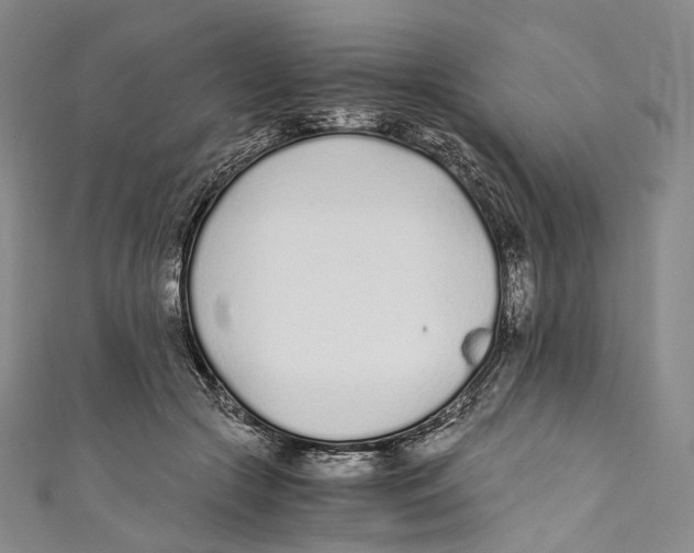 X0000110690553200907101151