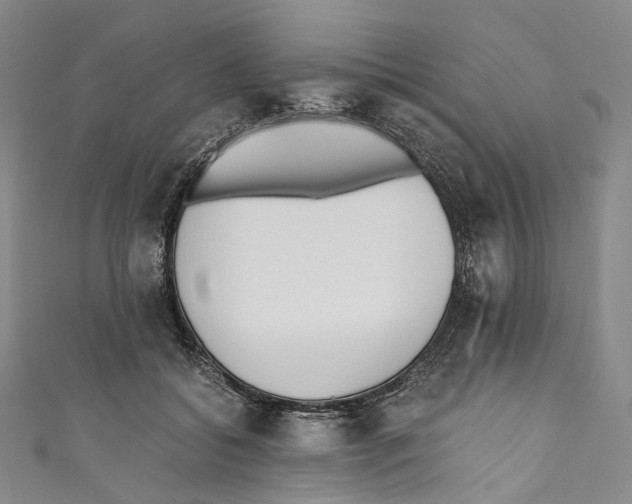 X0000110690556200907101151