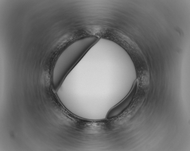 X0000110690558200907101151