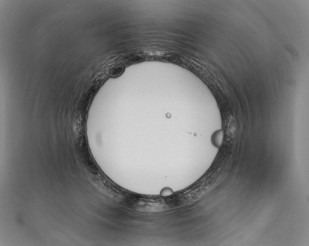 X0000110690559200907101151